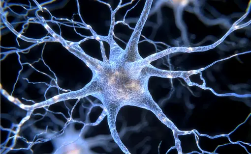 Detailreiche Darstellung eines Nervenzellnetzwerks mit einer hervorgehobenen, strahlenden Nervenzelle im Zentrum; die hellen, ausstrahlenden Linien sollen die Intensit&auml;t und Ausbreitung von Nervenschmerzen darstellen.